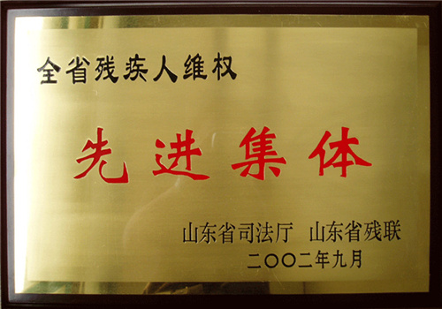 全省残疾人维权先进集体